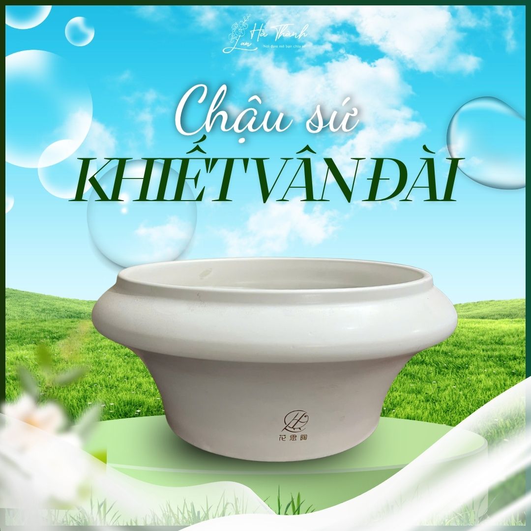 Chậu Sứ Khiết Vân Đài